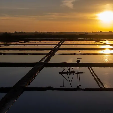 Casa Falcoeiras - Al Com Vista Ria * Aveiro